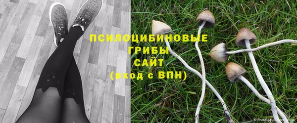 мескалин Медвежьегорск