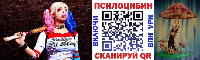 Псилоцибиновые грибы прущие грибы  Новодвинск 