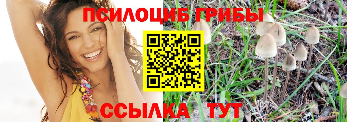Галлюциногенные грибы MAGIC MUSHROOMS  Вход с VPN  Новодвинск 