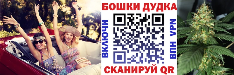 Бошки Шишки THC 21%  кракен зеркало  Новодвинск 